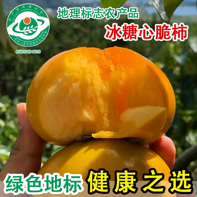 广西桂林脆柿应季新鲜桂林脆柿子香甜多汁自然成熟饱满现摘直发