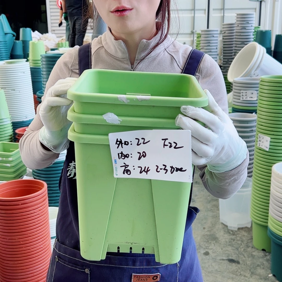 方盆F22果绿5个无托