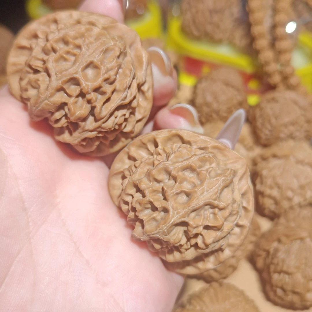桩型皮质 骨质杠杠的