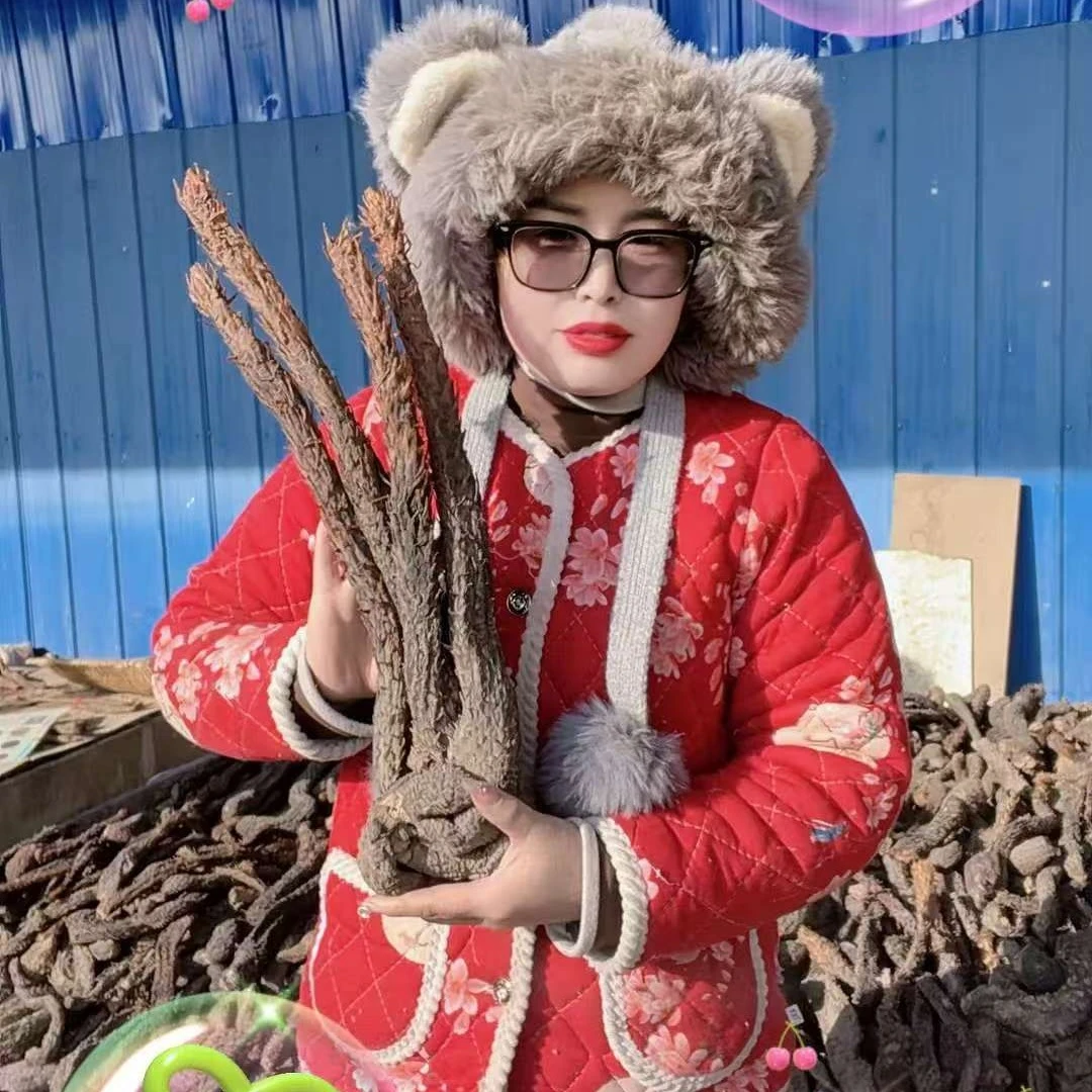 zh   金锁 沙漠人参    干货