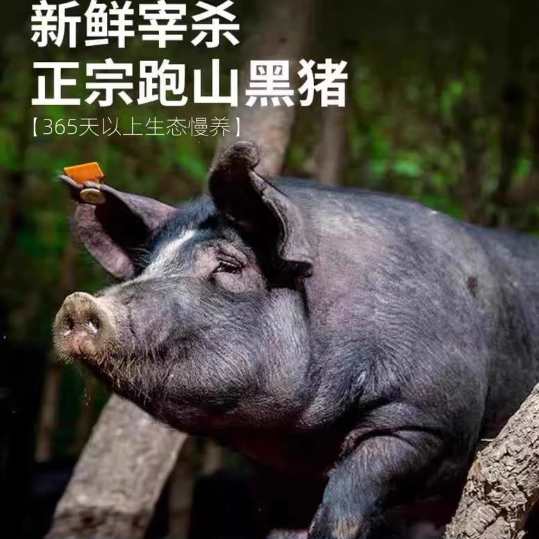 【顺丰冷链】新鲜跑山猪黑猪肉高山散养土猪肉