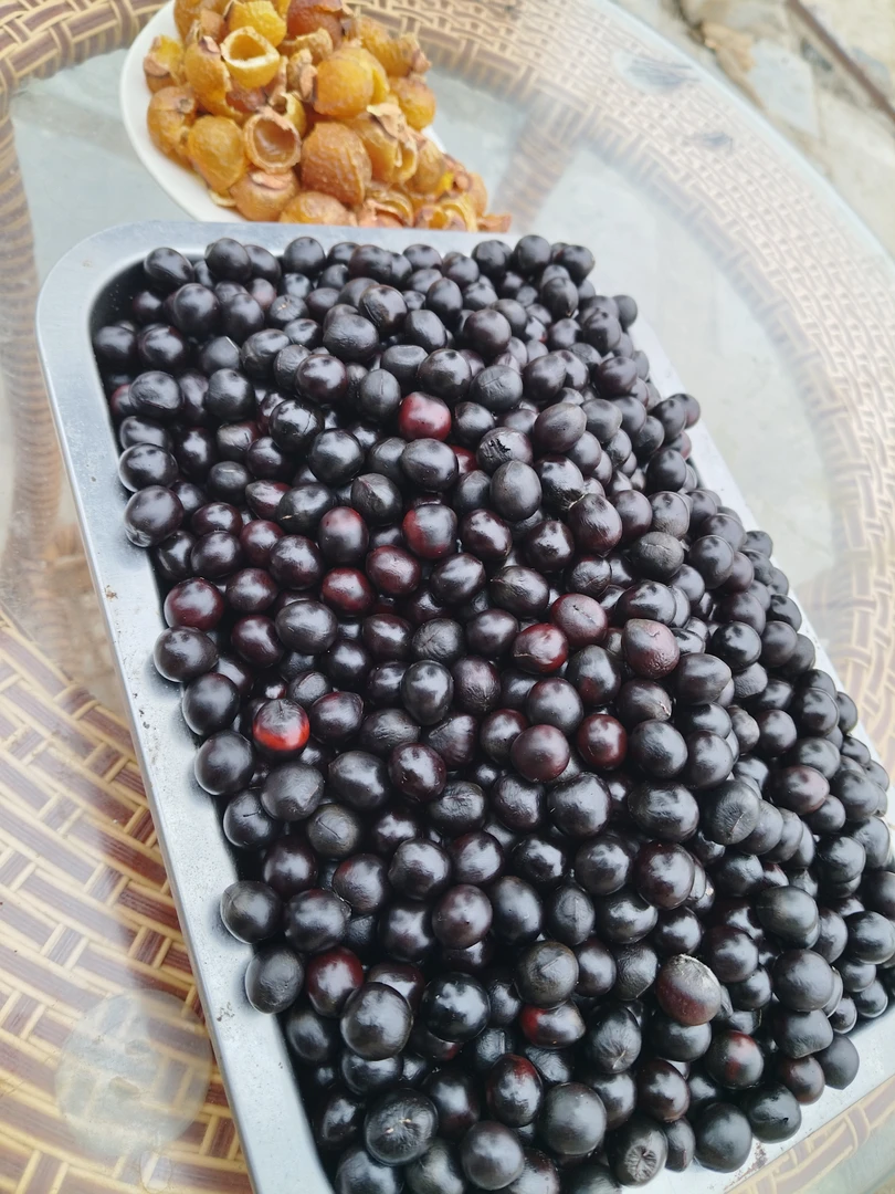 非金属木质手镯 贵州大山无患子果核2500g卡14一15（送大号枕头套）