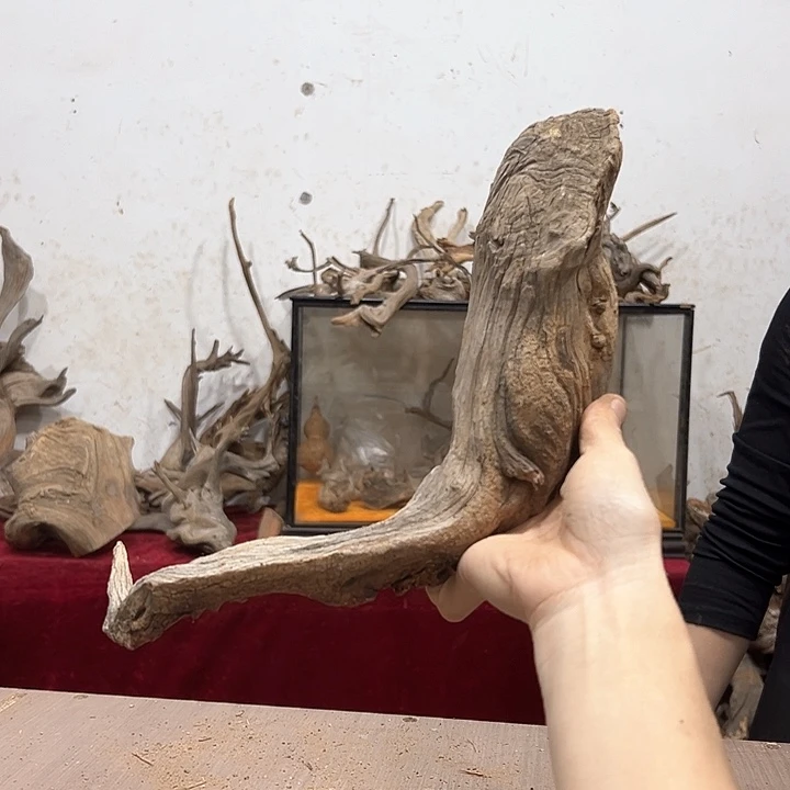 柏木寻**迹我们都是好孩子呀我也