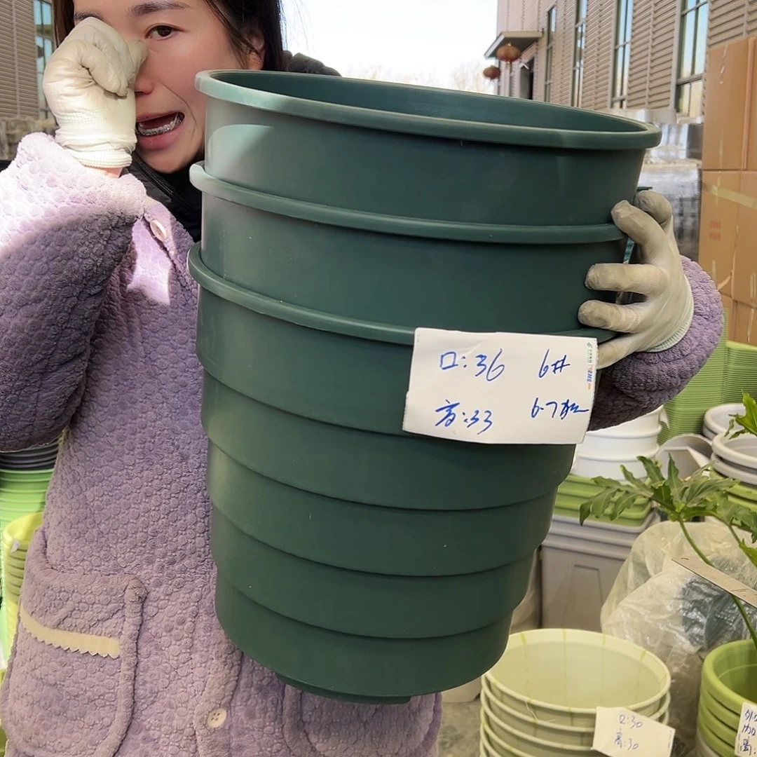 多孔盆6#墨绿3个无托