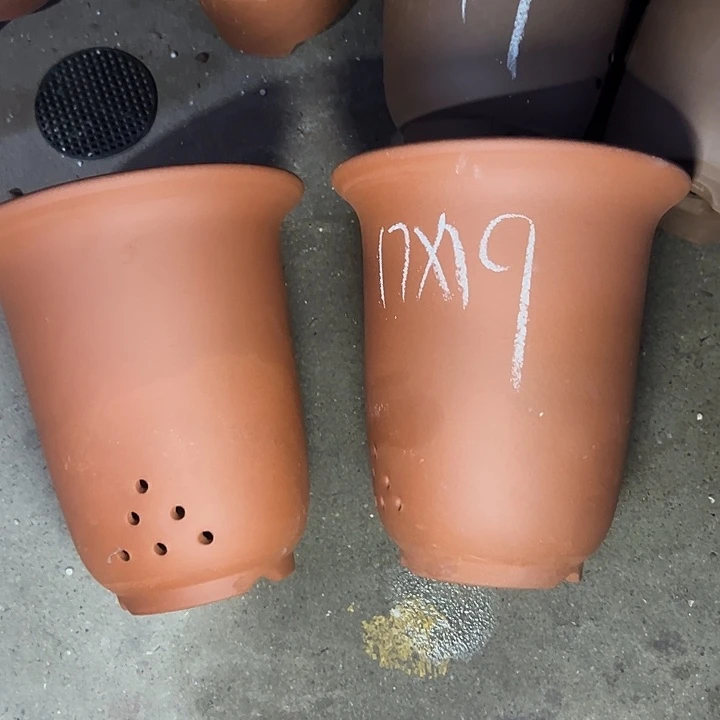 周深周深周深周深