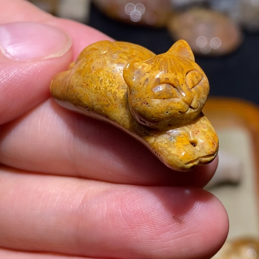 【闪购商品】硅化玉珊瑚玉未镶嵌