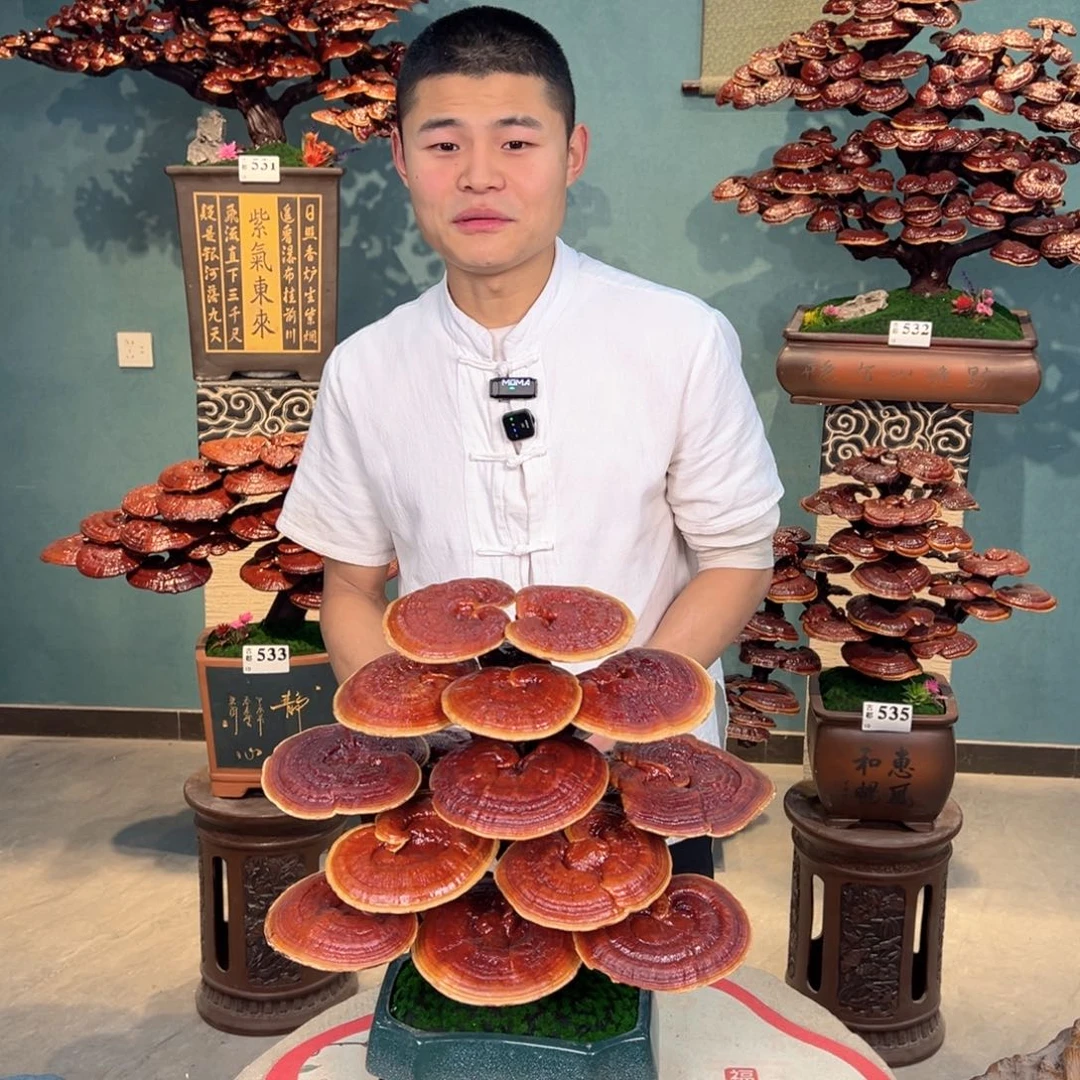 苏***苏无花朵88888888888