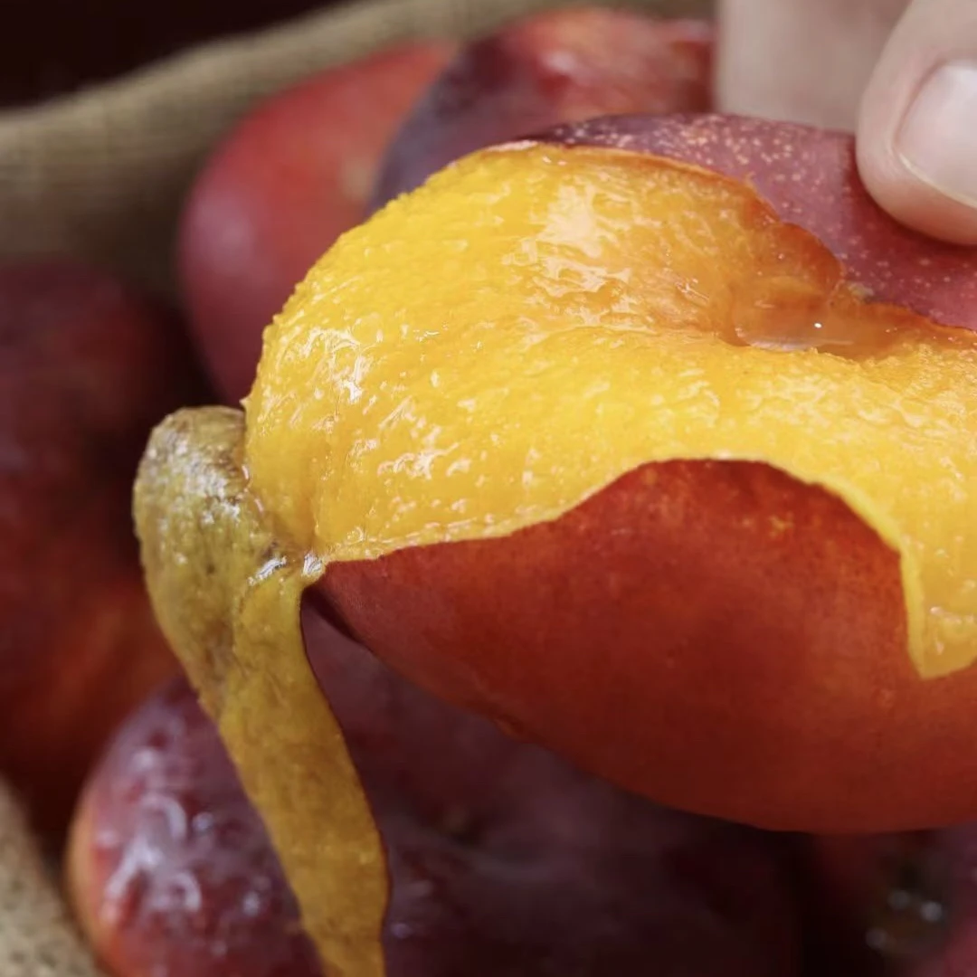 【放软巨香甜】新疆迷你丑蟠桃皮薄核小油桃子熊猫指南三星顺丰空运