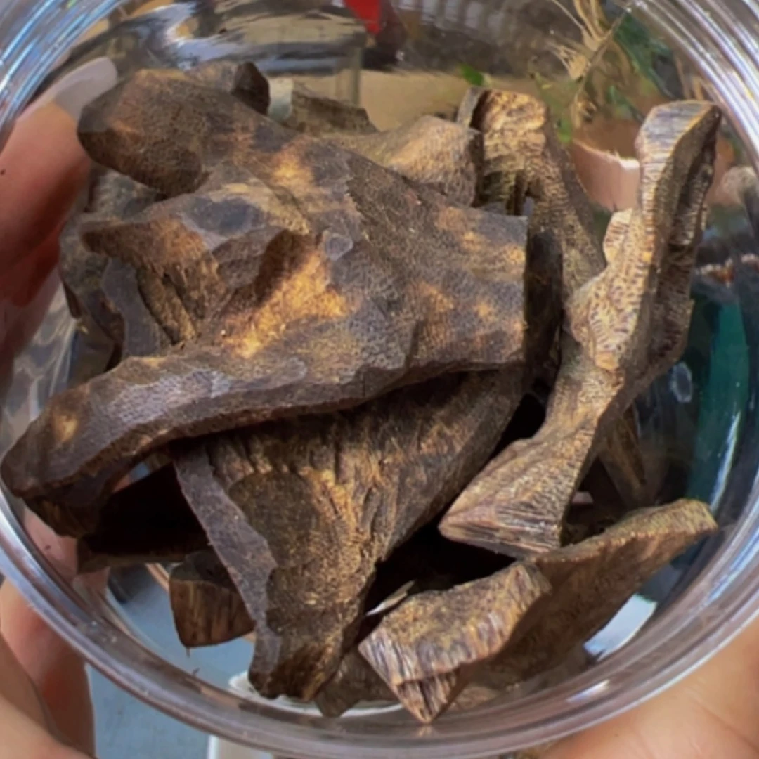 【闪购商品】沉香沉香碎屑张*有奇楠透顶绿包壳老料71克