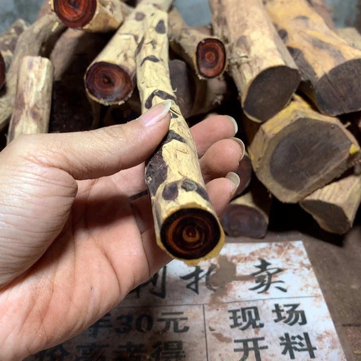 安南黄檀（紫檀柳）康****森