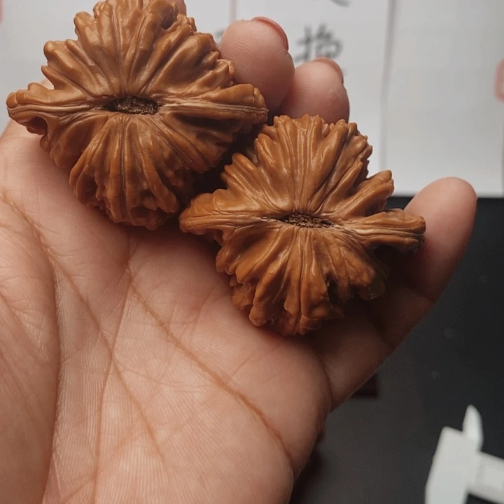 核桃四座楼46尺核桃