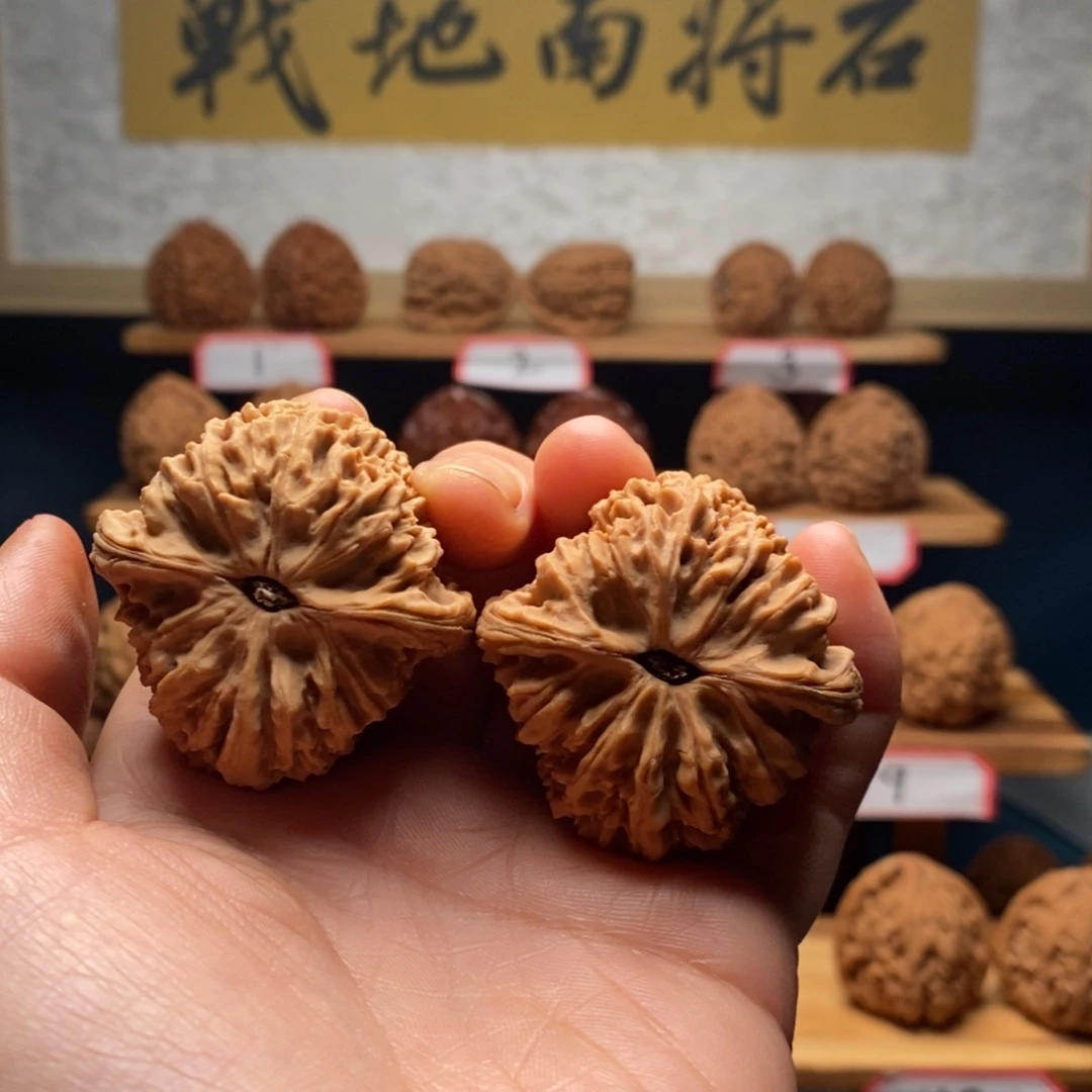 征***程南将石文玩核桃三角42: