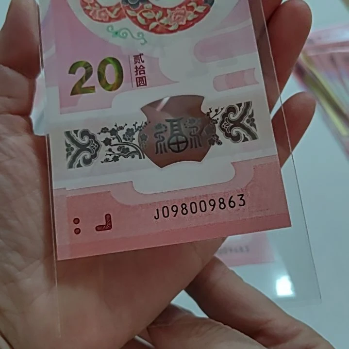 塑料小蛇钞元宝号9800 9863单张