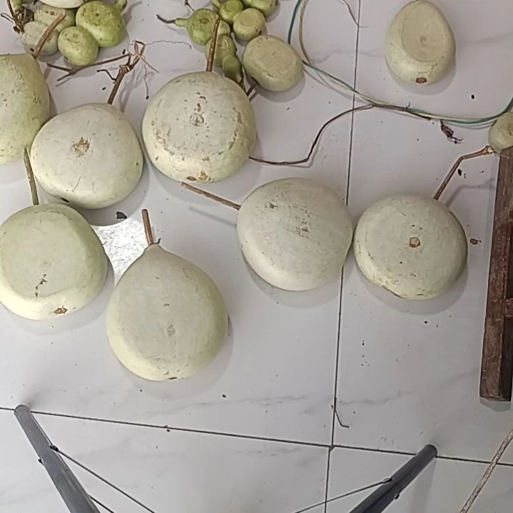 哈哈哈红红火火恍恍惚惚