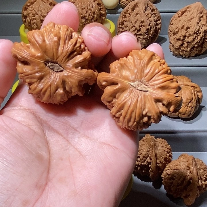 把件文玩核桃白狮子
