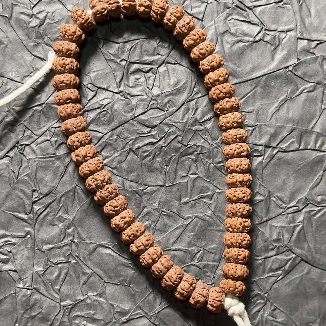 手串金刚菩提老树王，切