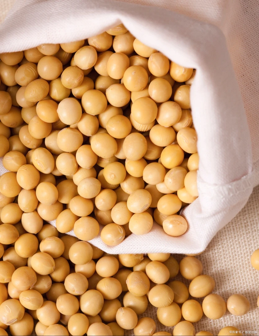 黑龙江非转基因黄豆小粒榨豆浆生豆芽专用