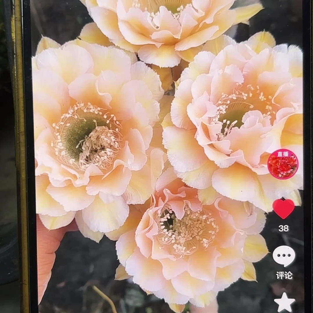 16-18彩别呀20包邮19