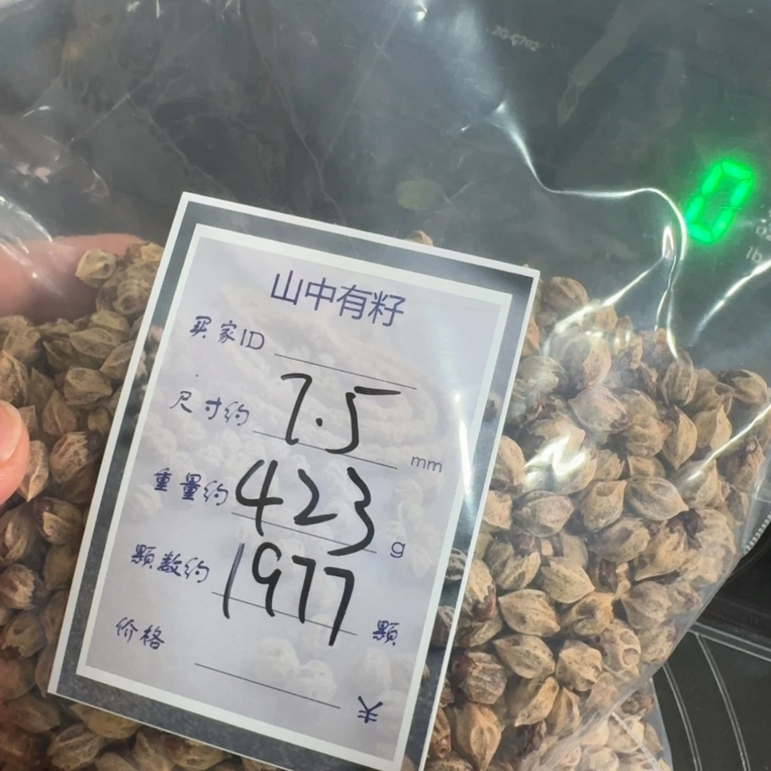基***暗柏香籽/百香籽吊坠