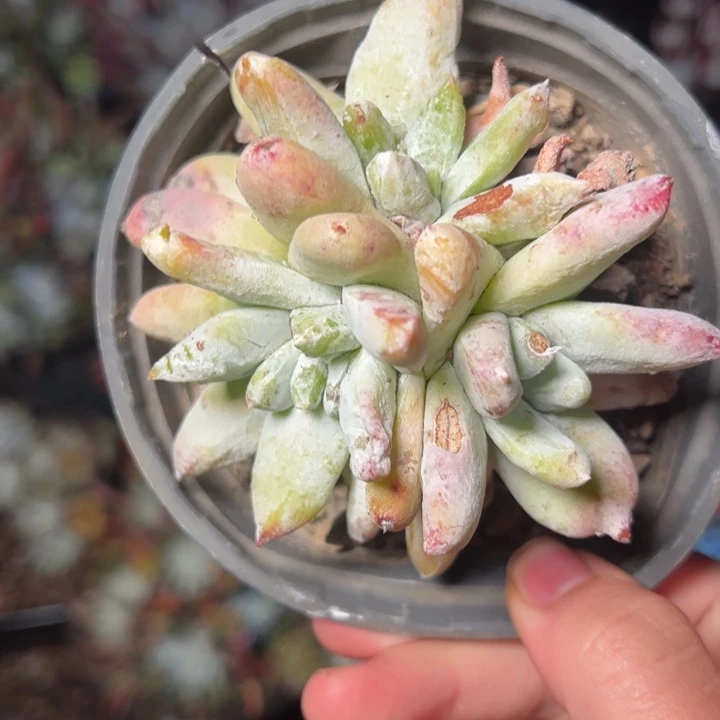 143哈哈哈哈哈哈哈