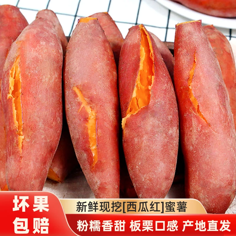 正宗河南蜜薯沙土地现挖新鲜红薯糖心小番薯板栗西瓜香甜山芋地瓜