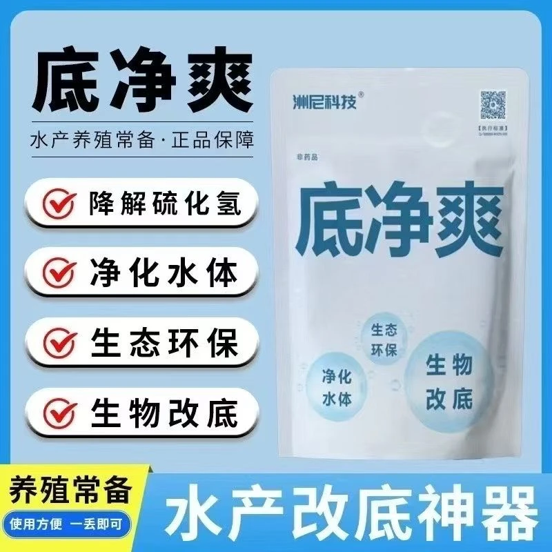 【底净爽】硫化物氧化菌 生物除硫化氢 净水 除臭 护草 高温专用
