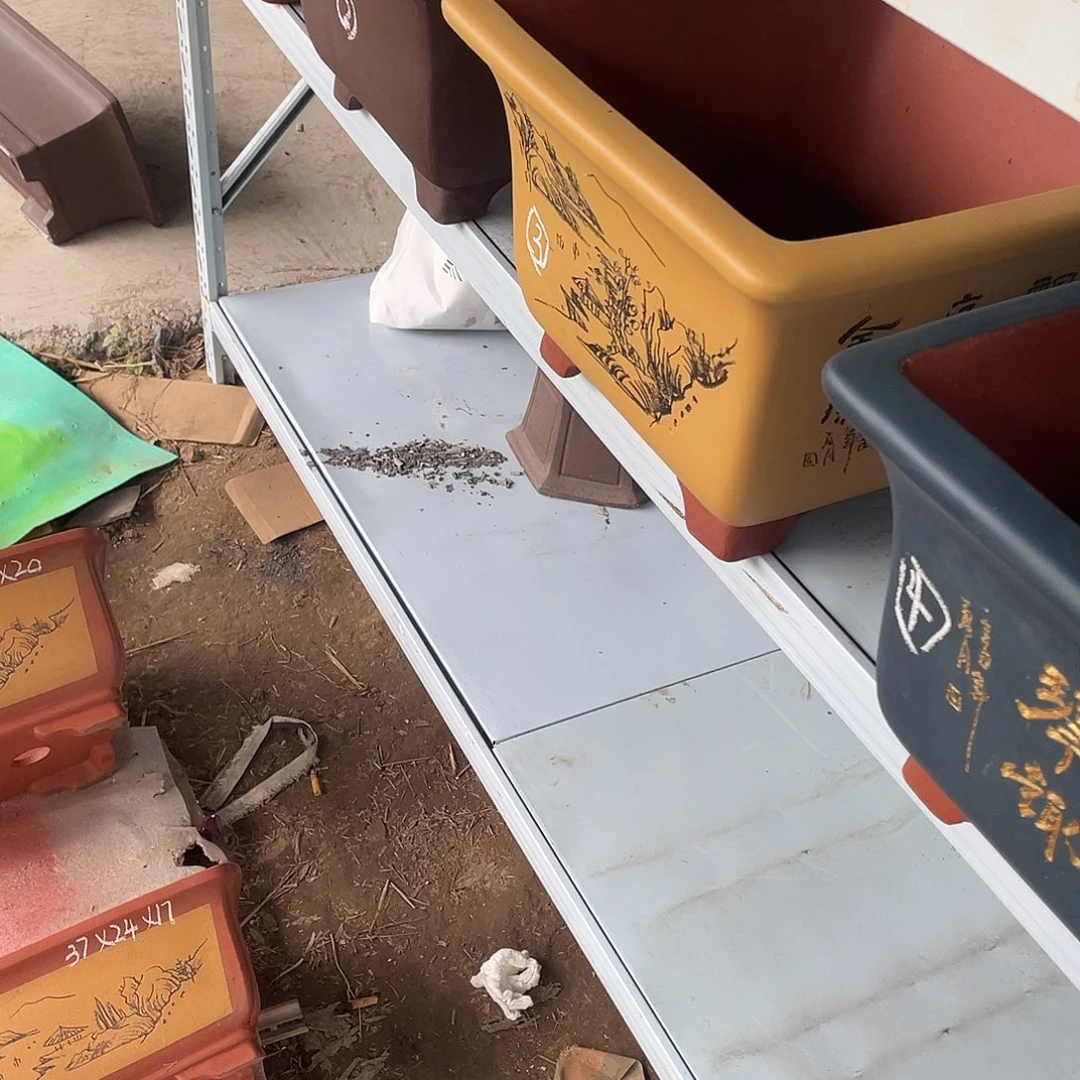 紫砂一只大方买一支送一支