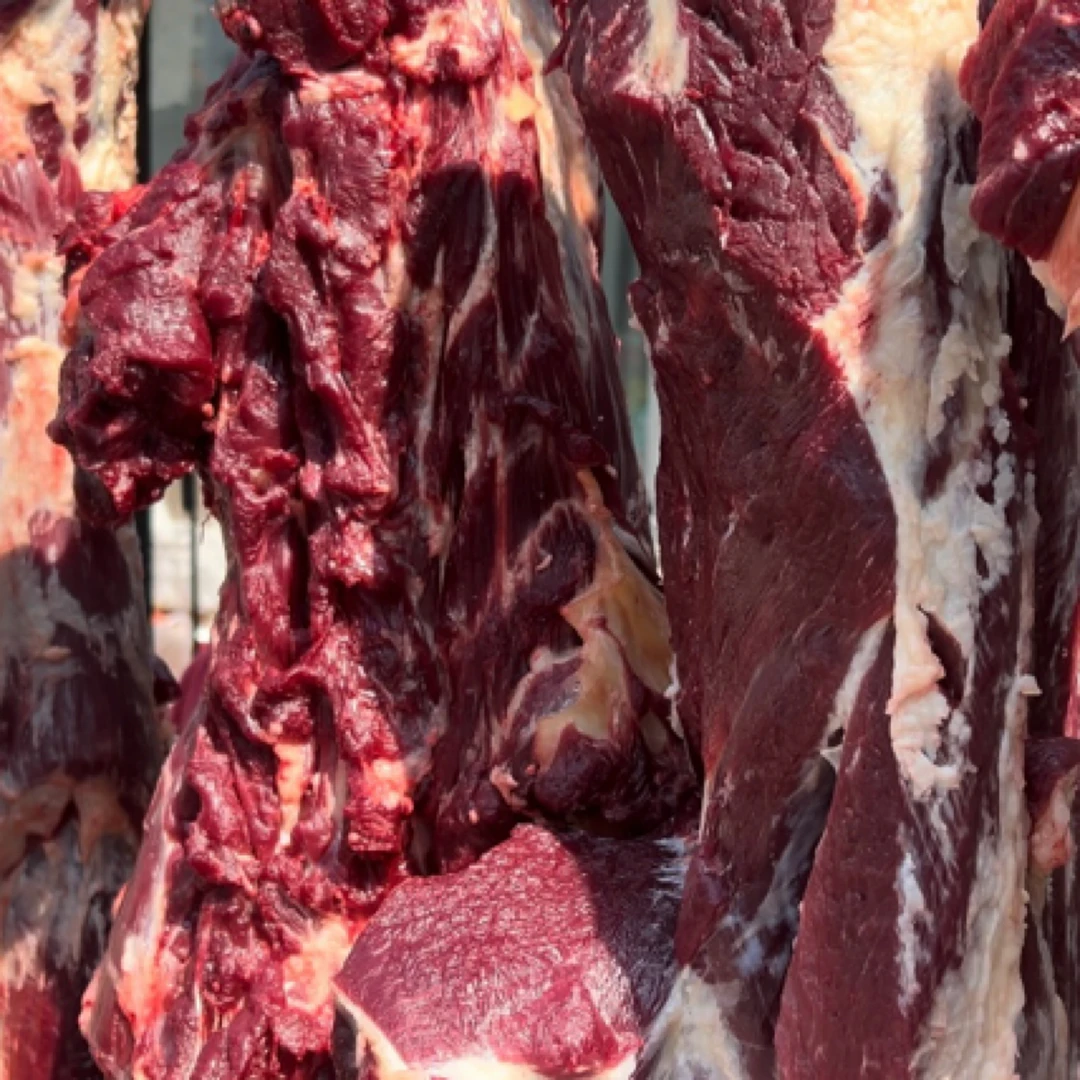 【抖音小时达】新鲜无水本地小黄牛牛肉31.8/斤牛肉同城送牛肉同城配