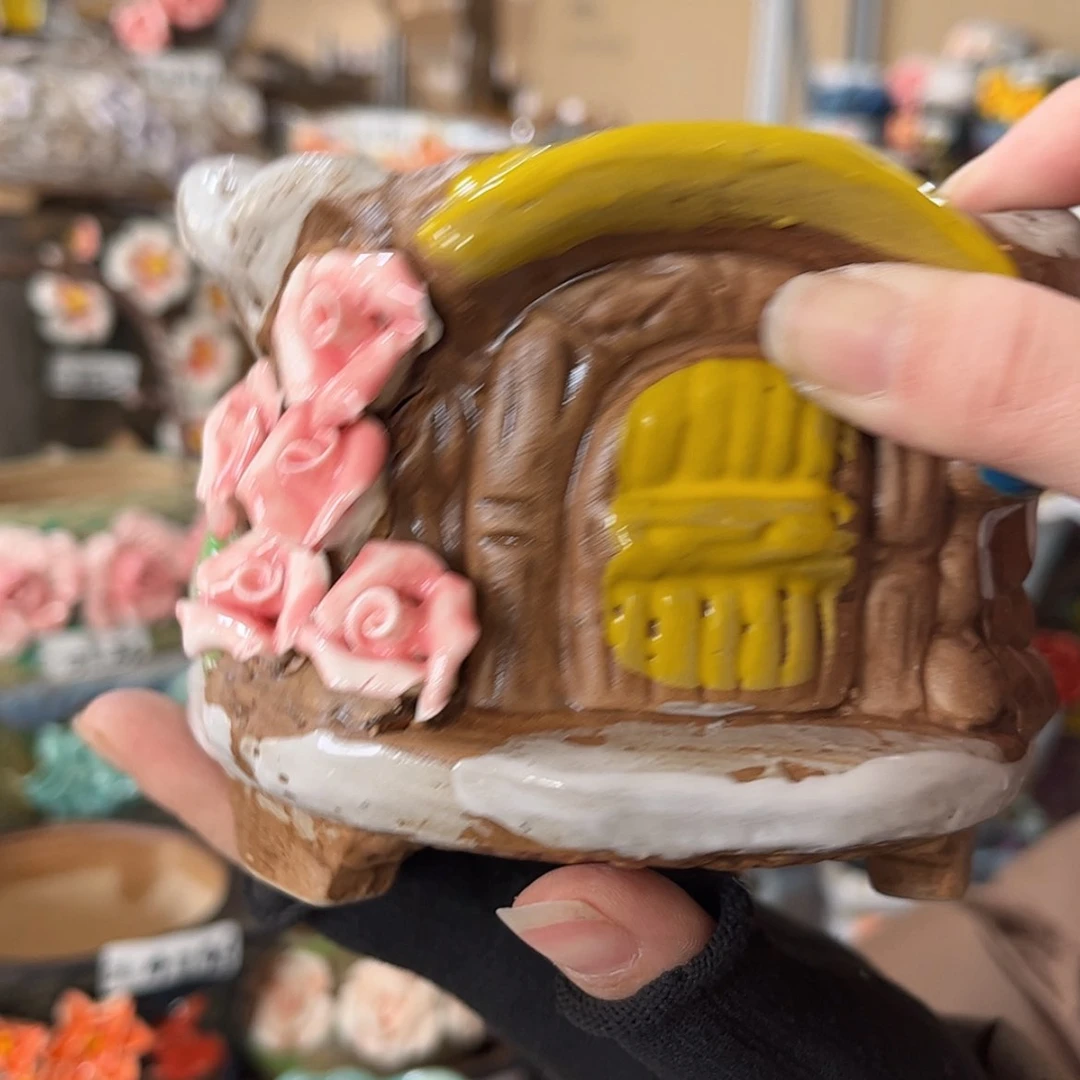 【闪购商品】红陶福利