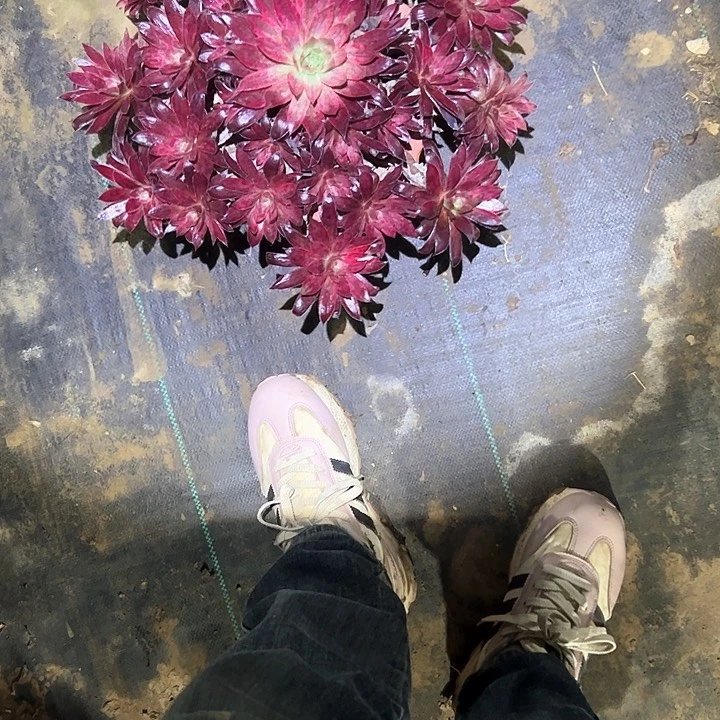 法师一物一拍链接90