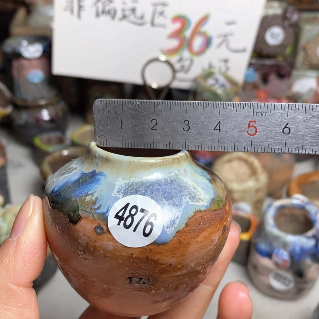 花盆拍5送一个小礼物