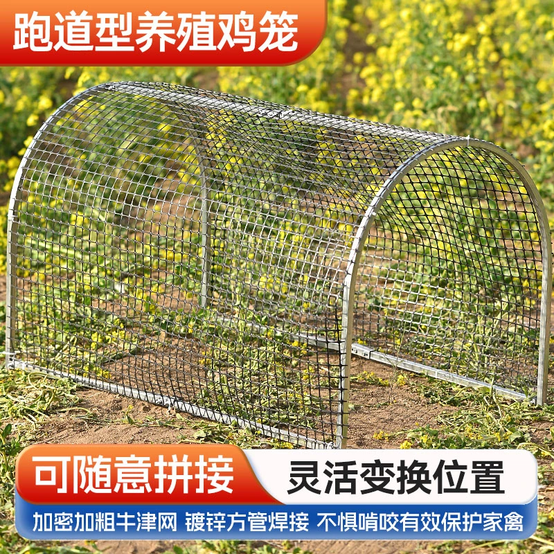 走地塑胶网鸡笼跑道养鸡隧道笼子农场户外溜达鸡笼子庭院农家散养