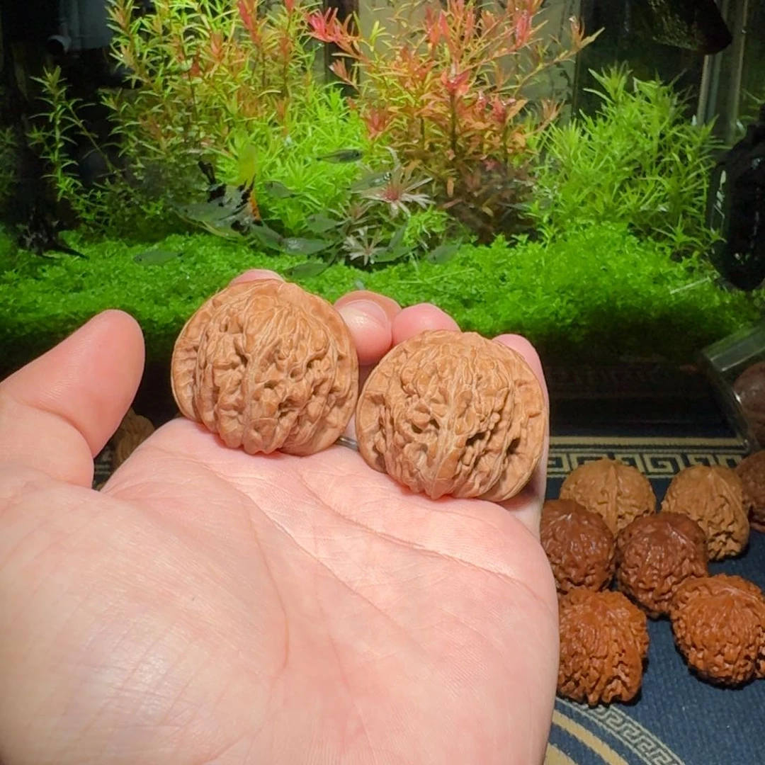 635号39蓟县四座楼文玩核桃