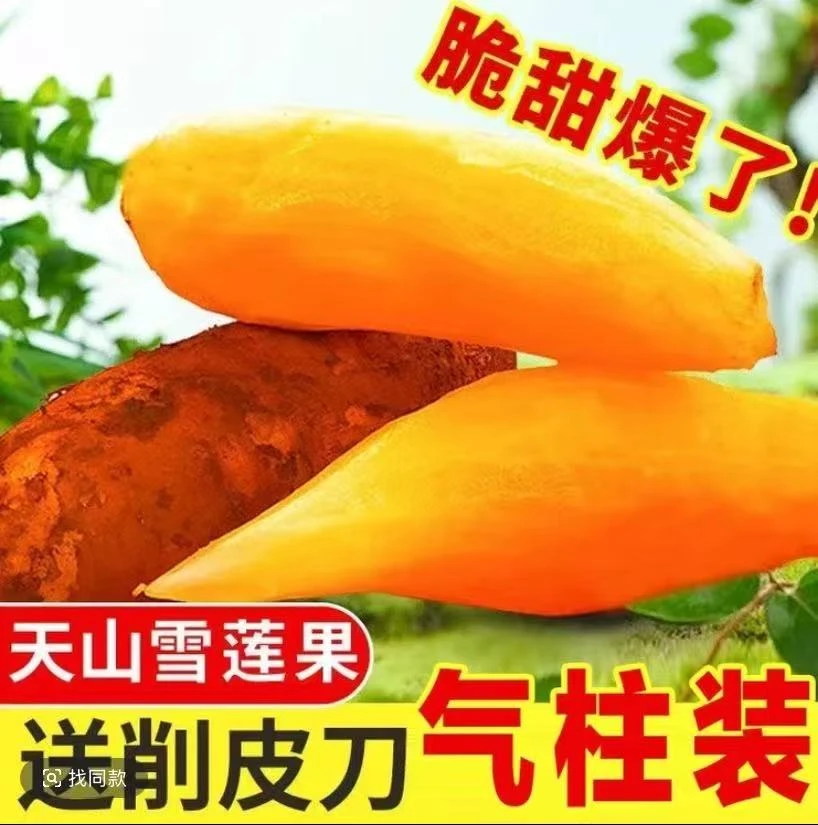 云南正宗黄心天山雪莲果现挖新鲜应季清甜脆爽多汁水果【坏果包赔】