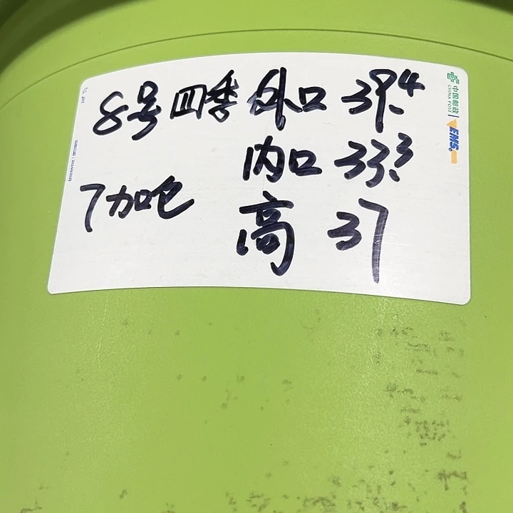 四季8号特价混色3个无托