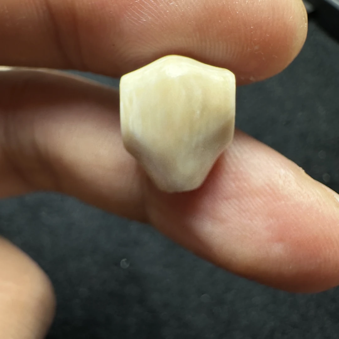 F236猛犸象牙对孔11.4mm冰料果冻鲨鱼背三通