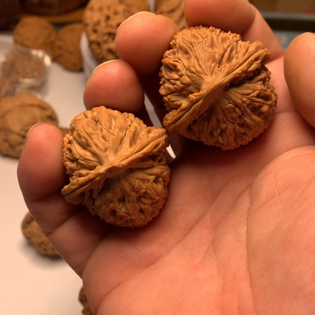 文玩核桃把件水龙纹