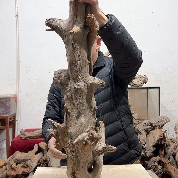 柏木柏*我们的生活也是