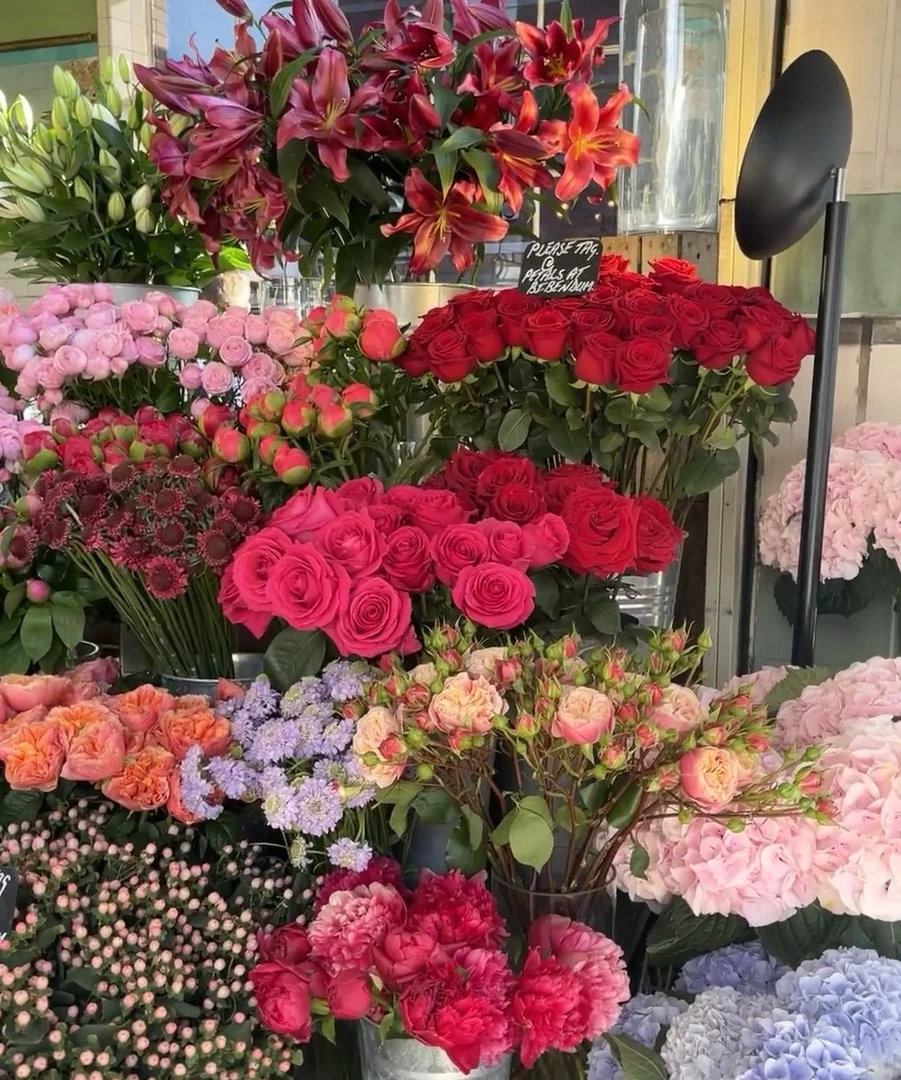 云南鲜花搭配/直播搭配玫瑰