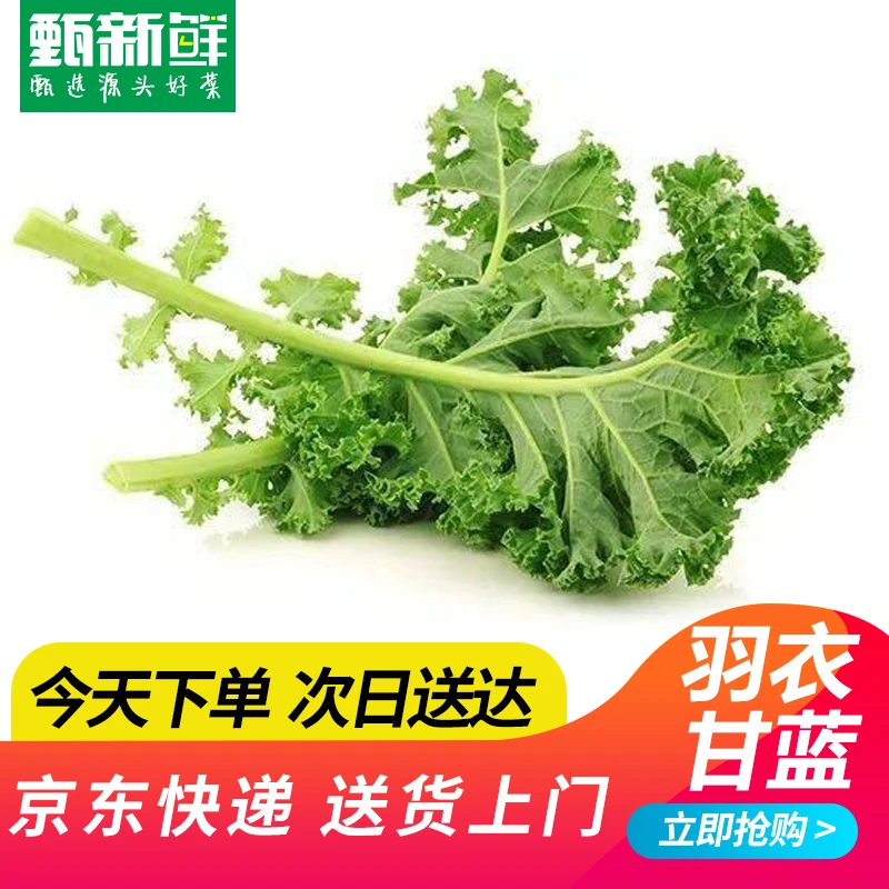 ④⑩羽衣甘蓝100g±10g京东包邮次日达 绿色蔬菜
