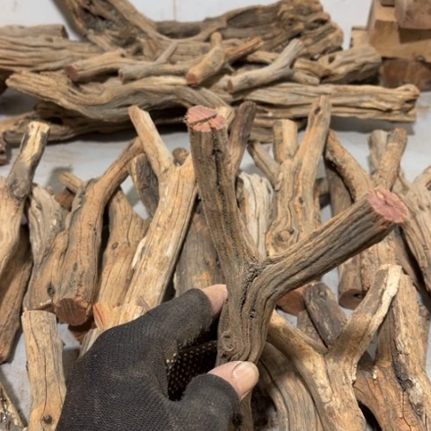 大果紫檀（缅甸花梨）N*