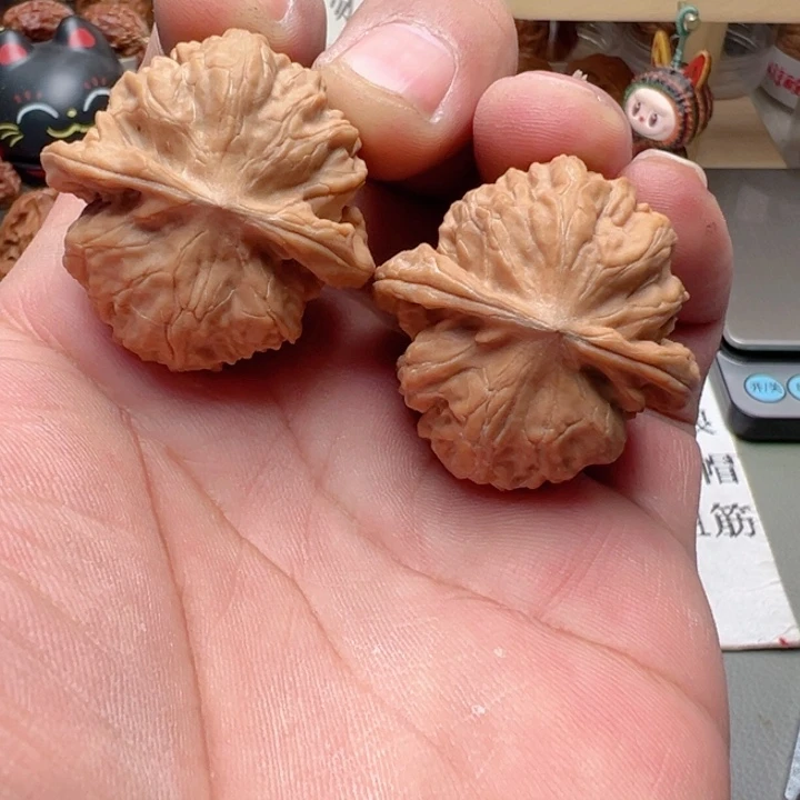 文玩核桃把件37尺全品野狼