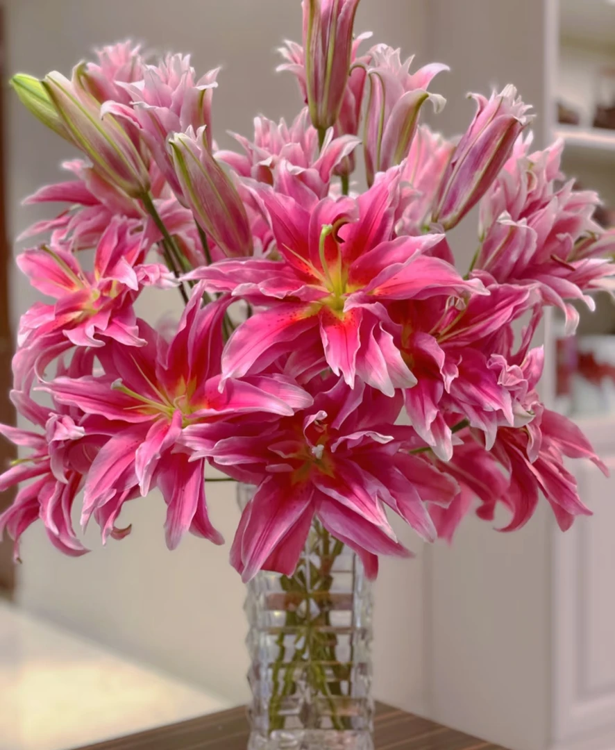 【艾琳娜】高端重瓣香水百合花鲜花顺风包邮