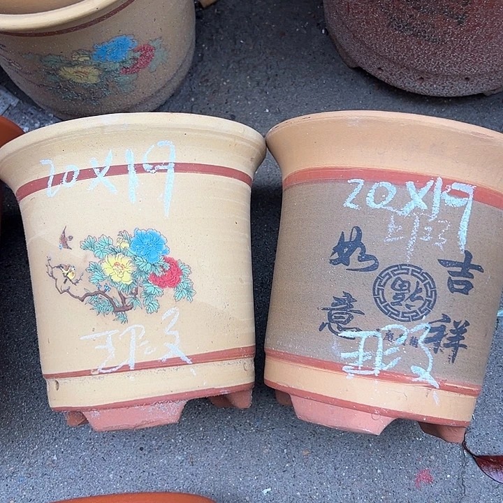 紫砂紫砂紫砂紫砂