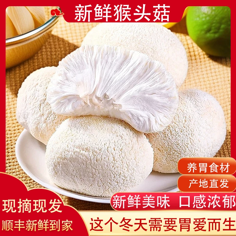 新鲜猴头菇食用菌当季深山蘑菇空运冷链500g包邮特产鲜嫩猴头菌