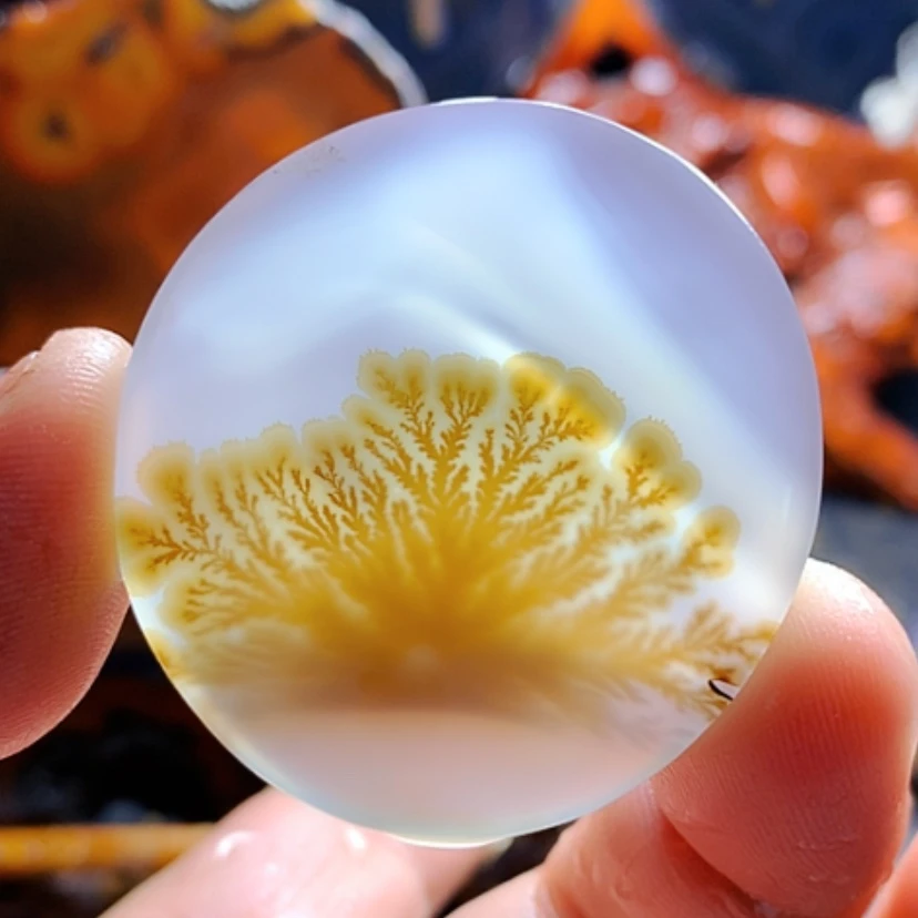 【闪购商品】玛瑙/玉髓颈饰未镶嵌