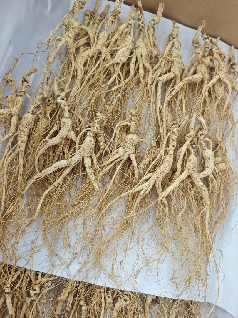 长白山林下参-直播-现拍改价链接1