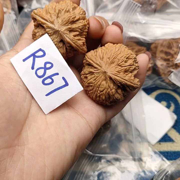 文玩核桃把件核桃