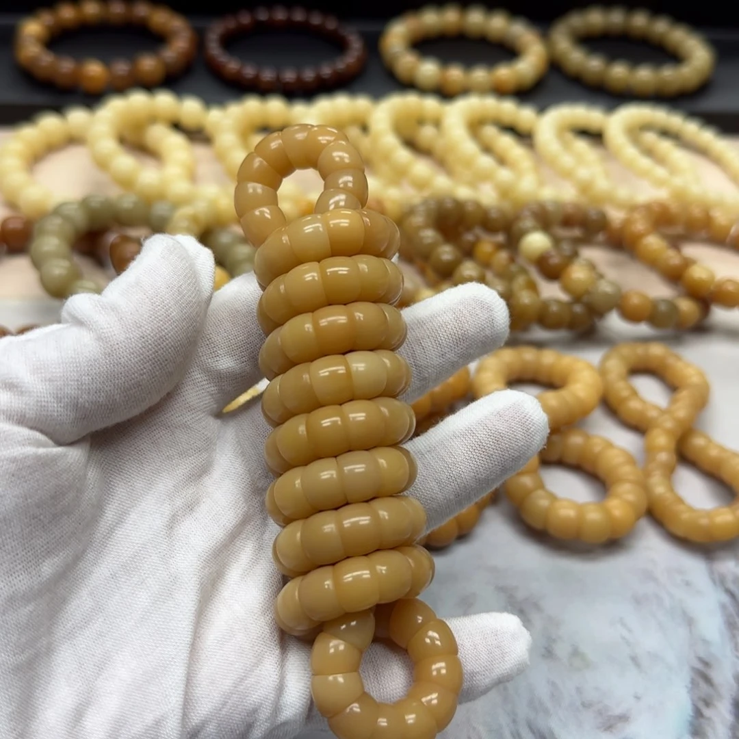 菩提根/象牙果吊坠卡10 大肠 5年