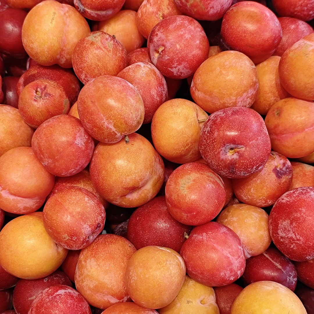 李子（3斤）13.8元